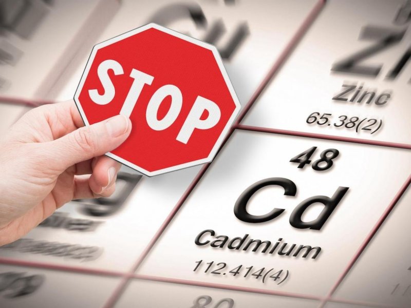 Pollution au Cadmium : Un enjeu sanitaire