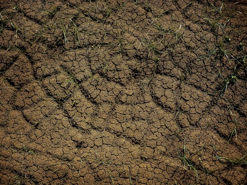 Pollutions des sols : le constat alarmant de la FAO